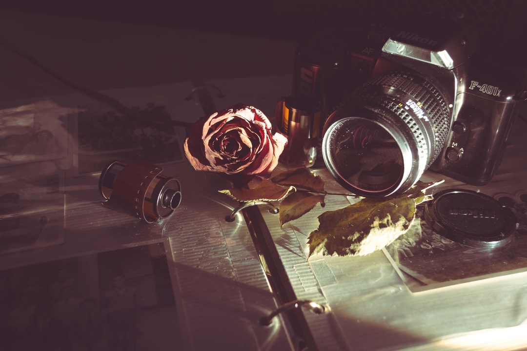 rose and camera