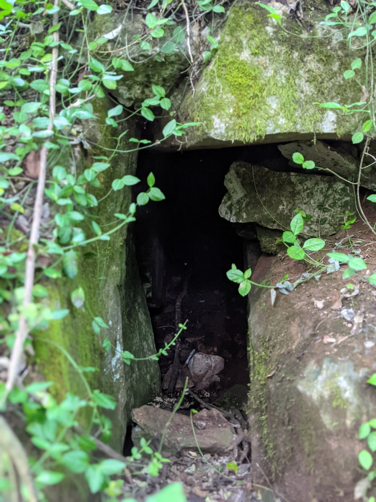 moss covered boulders frame dark, tiny cave